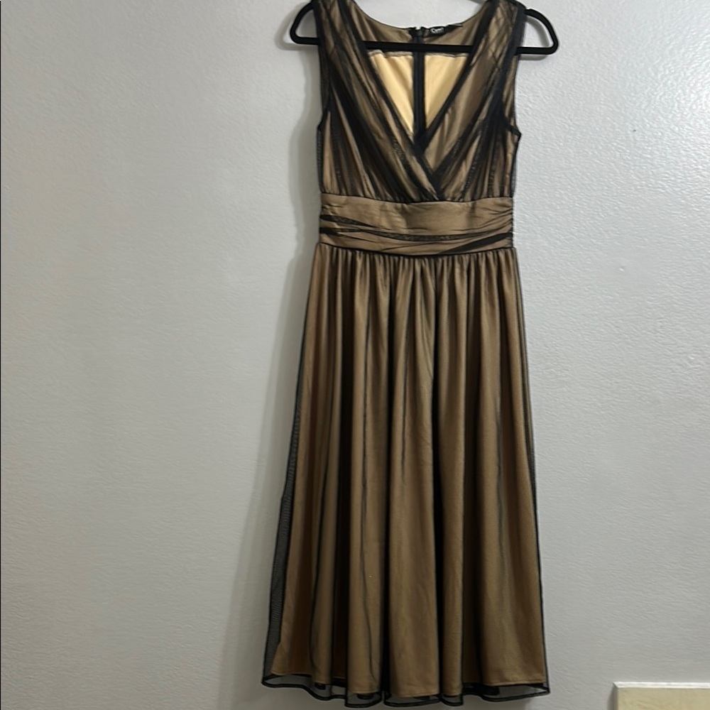 Cami International - sheer mesh whimsigoth Dress with empire waistline